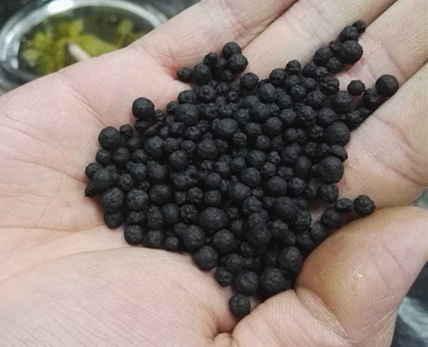腐植酸類肥料的肥效：腐植酸銨、腐植酸銨磷、生化黃腐酸